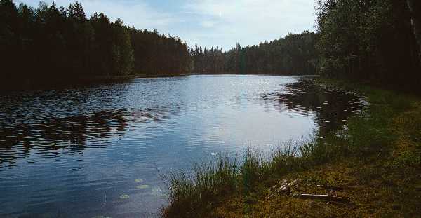 Finsko, NP Helvetinjärvi, jezero Ruokejärvi, foto Michael Stanovský 1998