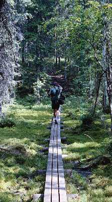 Finsko, NP Helvetinjrvi, foto Michael Stanovsk 1998