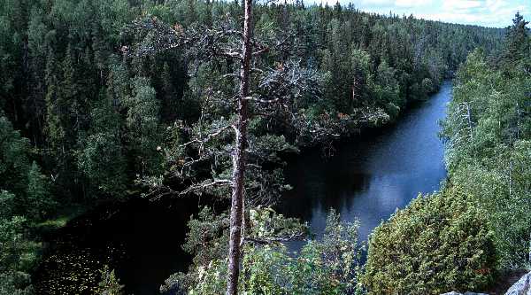 Finsko, NP Helvetinjärvi, kaňon Helvetii – foto Michael Stanovský 1998