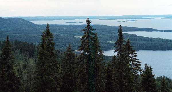 Finsko, NP Koli, jezero Pielien  foto Michael Stanovsk 1998