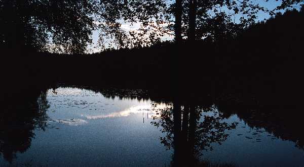 Finsko, NP Nuuksio, jezero Haukkalampi po zpadu slunce  foto Michael Stanovsk 1998