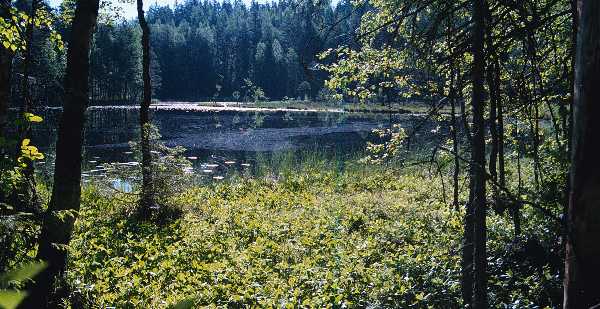 Finsko, NP Nuuksio, foto Michael Stanovsk 1998
