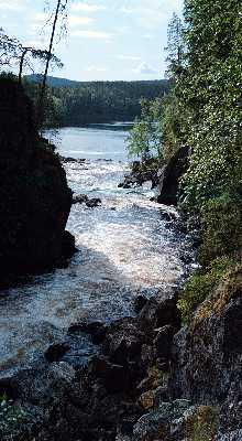 Finsko, NP Oulanka  peeje u Taivalkngas  foto Michael Stanovsk 1998
