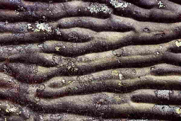 Finsko, NP Pyhtunturi, kvarcitov skla